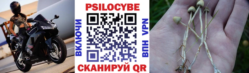 Псилоцибиновые грибы ЛСД  Котовск 